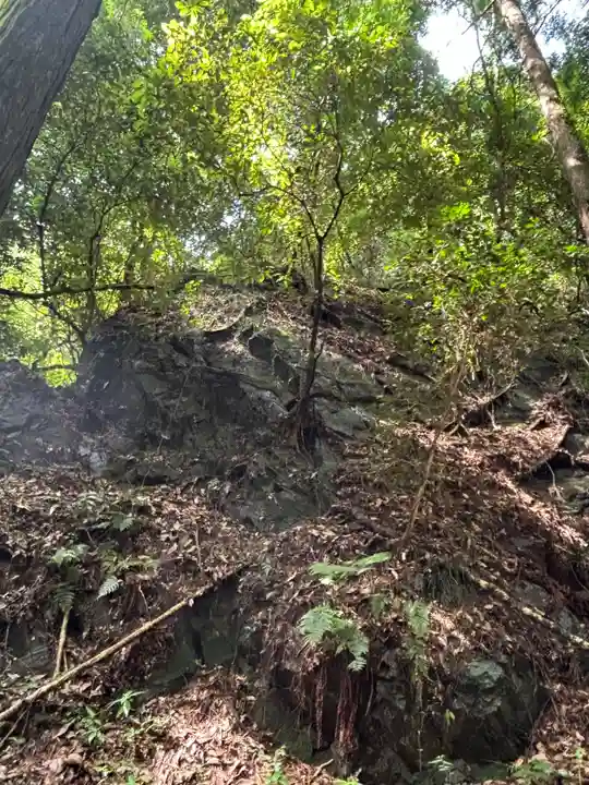 武蔵二宮 金鑚神社(埼玉県)