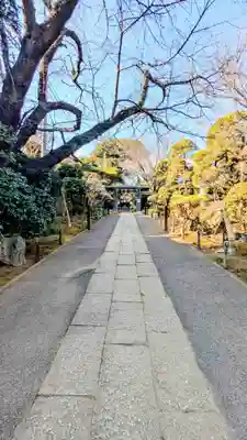 遠壽院の景色
