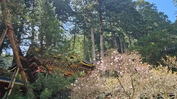 日光山輪王寺 大猷院(栃木県)
