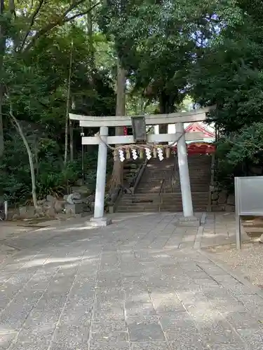 世田谷八幡宮の鳥居
