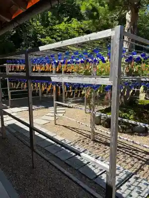 正寿院(京都府)