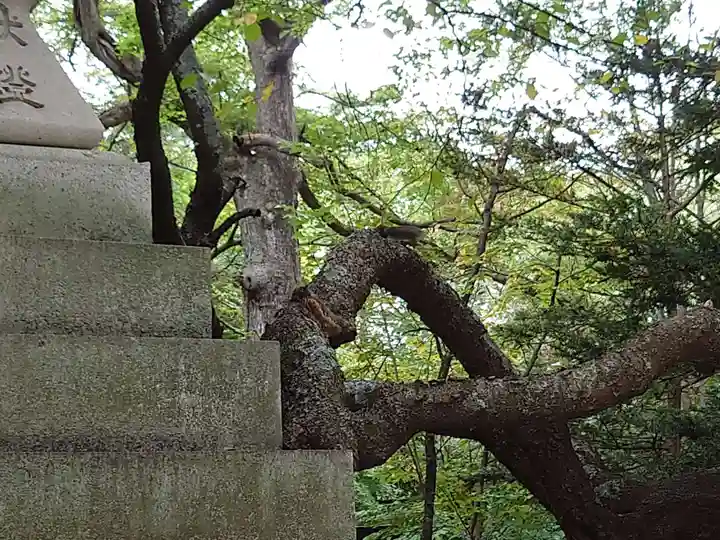 帯廣神社の動物