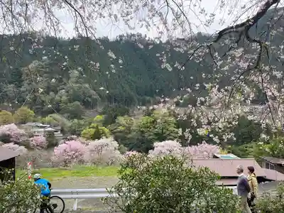 龍珠院(東京都)