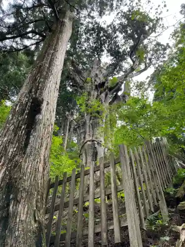玉置神社(奈良県)