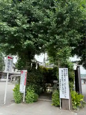 亀ケ池八幡宮(神奈川県)