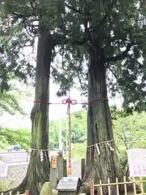 武雄神社のその他建物