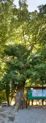 山田神社のその他建物