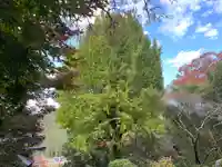 常勝寺(兵庫県)