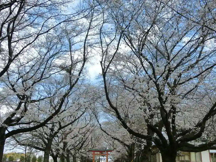 東蕗田天満社の自然