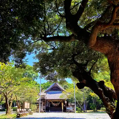 曽許乃御立神社(静岡県)
