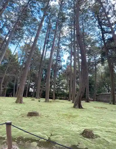 唐招提寺(奈良県)