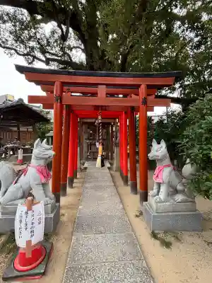 法楽寺の{uncategorized: "未分類", other: "その他", undefined: "問題あり", building: "その他建物", grave: "お墓", sacred_gate: "鳥居", guardian: "狛犬", statue: "像", buddha: "仏像", history: "歴史", nature: "自然", garden: "庭園", animal: "動物", pagoda: "塔", temizu: "手水舎", mountain_gate: "山門・神門", sanctuary: "本殿・本堂", subordinate: "末社・摂社", art: "芸術", scenery: "景色", jizo: "地蔵", ema: "絵馬", goshuin: "御朱印", omikuji: "おみくじ", items: "授与品その他", amulet: "お守り", goshuincho: "御朱印帳", eats: "食事", festival: "お祭り", votive_dance: "神楽", shichigosan: "七五三参", wedding: "結婚式", experience: "体験その他", initially: "初詣", around: "周辺", anti_infection: "感染症対策"}