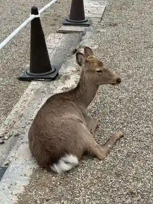 興福寺 南円堂(奈良県)