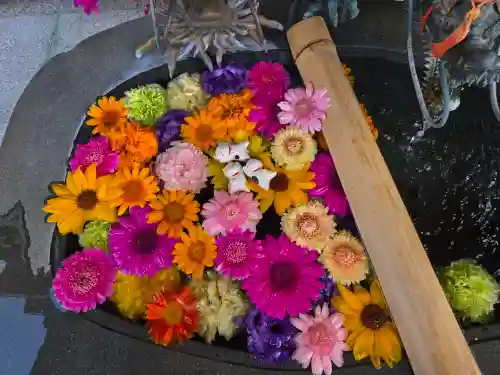 駒込妙義神社(東京都)