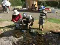 北野天満宮のおみくじ