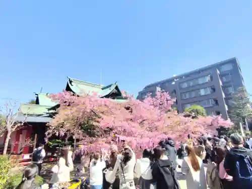 桜神宮の{uncategorized: "未分類", other: "その他", undefined: "問題あり", building: "その他建物", grave: "お墓", sacred_gate: "鳥居", guardian: "狛犬", statue: "像", buddha: "仏像", history: "歴史", nature: "自然", garden: "庭園", animal: "動物", pagoda: "塔", temizu: "手水舎", mountain_gate: "山門・神門", sanctuary: "本殿・本堂", subordinate: "末社・摂社", art: "芸術", scenery: "景色", jizo: "地蔵", ema: "絵馬", goshuin: "御朱印", omikuji: "おみくじ", items: "授与品その他", amulet: "お守り", goshuincho: "御朱印帳", eats: "食事", festival: "お祭り", votive_dance: "神楽", shichigosan: "七五三参", wedding: "結婚式", experience: "体験その他", initially: "初詣", around: "周辺", anti_infection: "感染症対策"}
