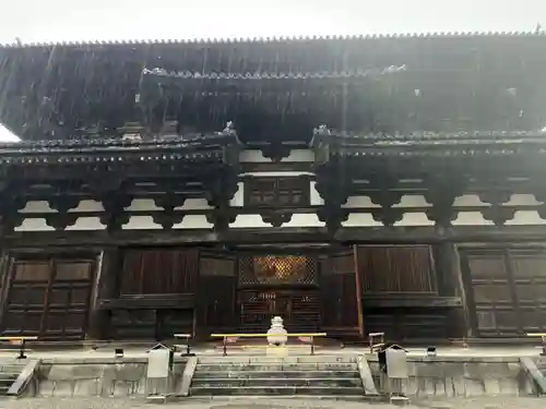 東寺（教王護国寺）の本殿・本堂