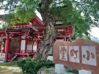 小町堂(秋田県)