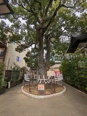 溝口神社(神奈川県)
