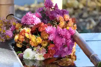 高司神社〜むすびの神の鎮まる社〜の手水舎