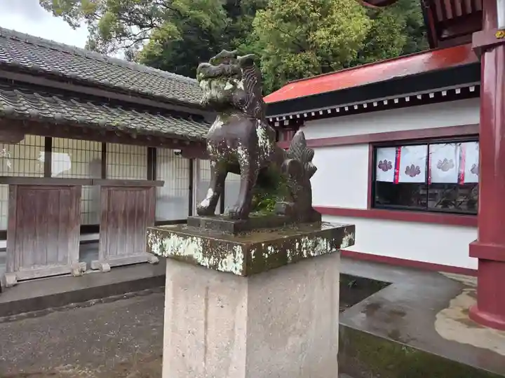 鹿児島神社(鹿児島県)