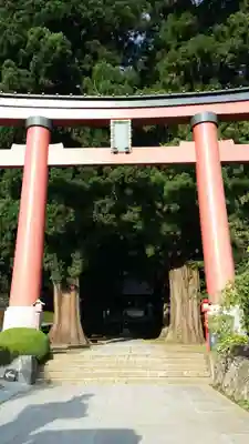 河口浅間神社の鳥居