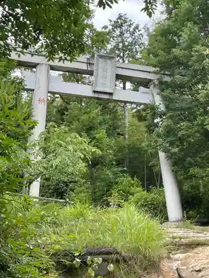 自玉手祭来酒解神社(京都府)