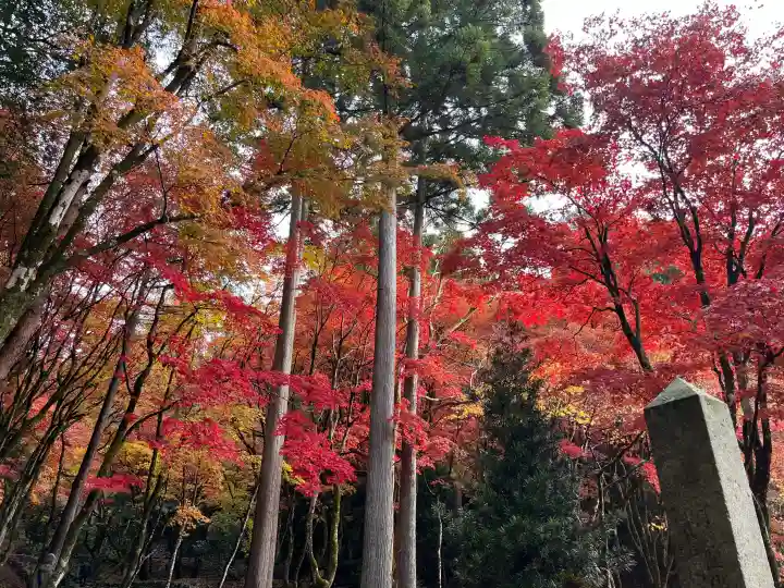 鶏足寺の{uncategorized: "未分類", other: "その他", undefined: "問題あり", building: "その他建物", grave: "お墓", sacred_gate: "鳥居", guardian: "狛犬", statue: "像", buddha: "仏像", history: "歴史", nature: "自然", garden: "庭園", animal: "動物", pagoda: "塔", temizu: "手水舎", mountain_gate: "山門・神門", sanctuary: "本殿・本堂", subordinate: "末社・摂社", art: "芸術", scenery: "景色", jizo: "地蔵", ema: "絵馬", goshuin: "御朱印", omikuji: "おみくじ", items: "授与品その他", amulet: "お守り", goshuincho: "御朱印帳", eats: "食事", festival: "お祭り", votive_dance: "神楽", shichigosan: "七五三参", wedding: "結婚式", experience: "体験その他", initially: "初詣", around: "周辺", anti_infection: "感染症対策"}