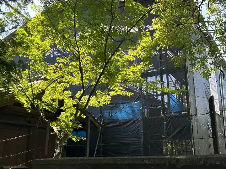 喜多院(埼玉県)