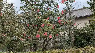 換骨堂(元真如堂)(京都府)