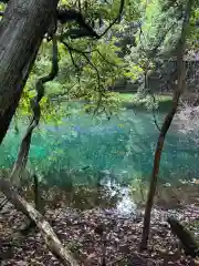 丸池神社(山形県)