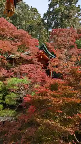 毘沙門堂門跡(京都府)