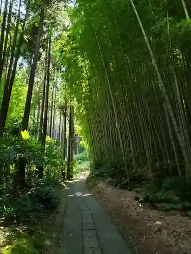 武雄神社(佐賀県)