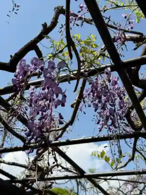 亀戸天神社の{uncategorized: "未分類", other: "その他", undefined: "問題あり", building: "その他建物", grave: "お墓", sacred_gate: "鳥居", guardian: "狛犬", statue: "像", buddha: "仏像", history: "歴史", nature: "自然", garden: "庭園", animal: "動物", pagoda: "塔", temizu: "手水舎", mountain_gate: "山門・神門", sanctuary: "本殿・本堂", subordinate: "末社・摂社", art: "芸術", scenery: "景色", jizo: "地蔵", ema: "絵馬", goshuin: "御朱印", omikuji: "おみくじ", items: "授与品その他", amulet: "お守り", goshuincho: "御朱印帳", eats: "食事", festival: "お祭り", votive_dance: "神楽", shichigosan: "七五三参", wedding: "結婚式", experience: "体験その他", initially: "初詣", around: "周辺", anti_infection: "感染症対策"}
