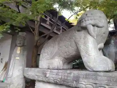 善養寺（善養密寺）の狛犬