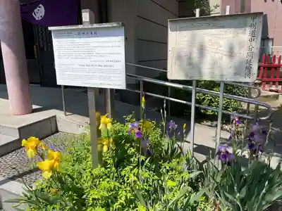 日野八坂神社(東京都)