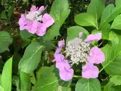 徳島眉山天神社の自然