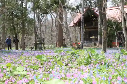 浦臼神社の自然