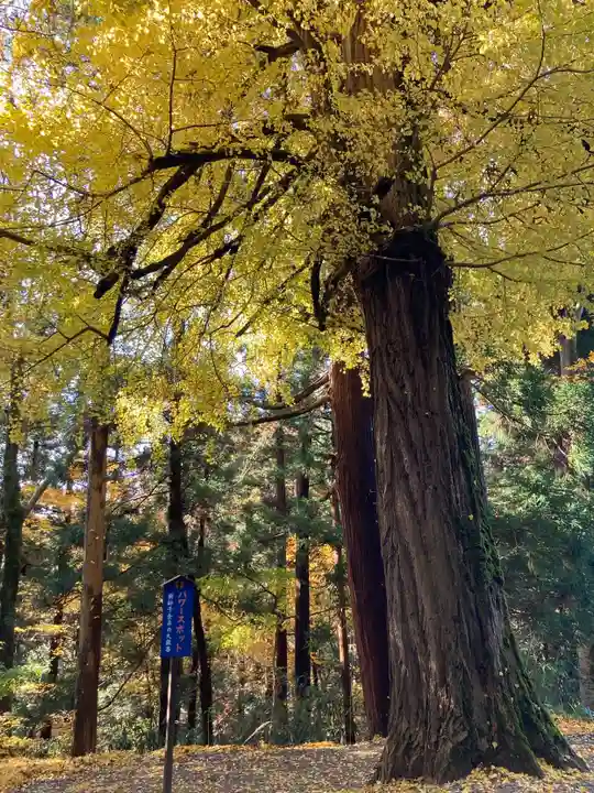 国上寺(新潟県)