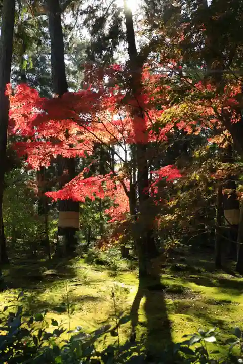 唐招提寺(奈良県)