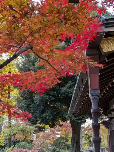 妙法寺(東京都)