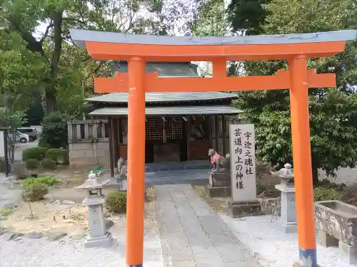 箭弓稲荷神社(埼玉県)