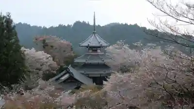金峯山寺(奈良県)