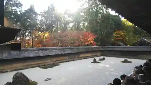 龍安寺の庭園