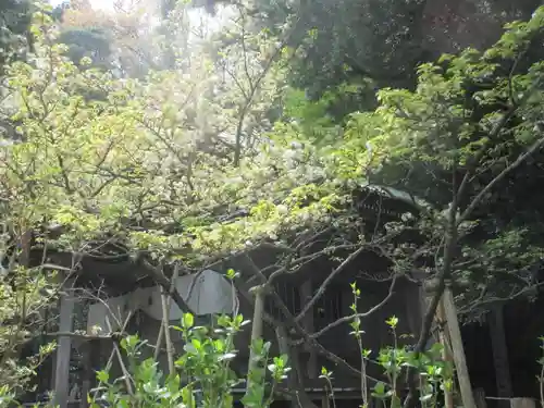 安國論寺（安国論寺）の自然