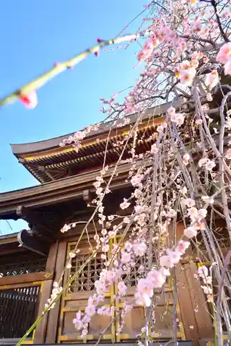 湯島天満宮(東京都)