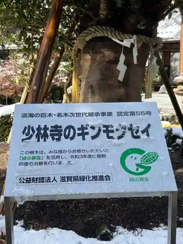 少林寺(滋賀県)