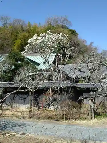 東慶寺(神奈川県)