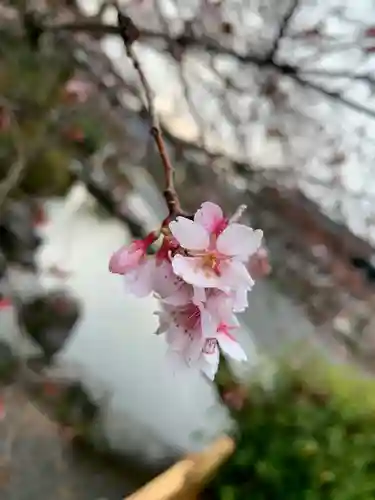 久遠寺の自然