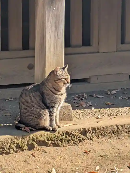 白幡八幡神社(神奈川県)